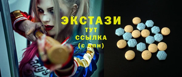 шишки Медвежьегорск