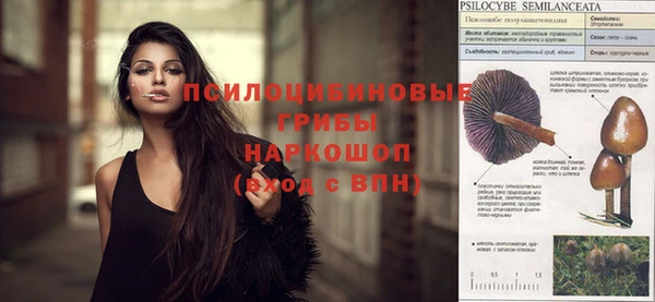 шишки Медвежьегорск