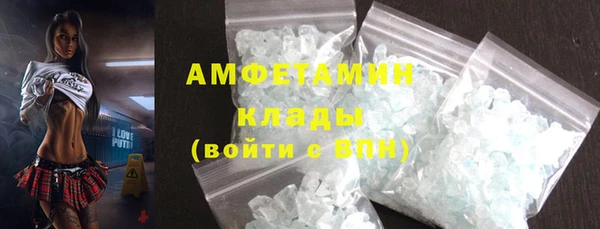 шишки Медвежьегорск