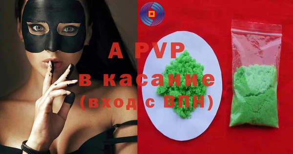 шишки Медвежьегорск