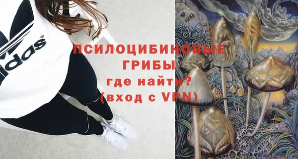 шишки Медвежьегорск