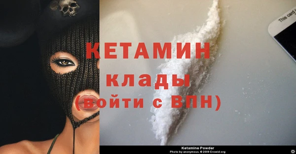 шишки Медвежьегорск