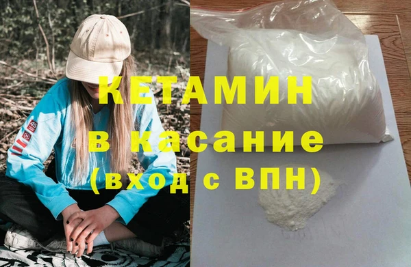 шишки Медвежьегорск