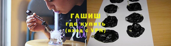 шишки Медвежьегорск
