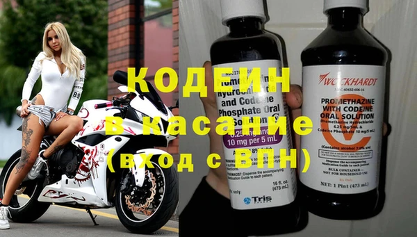шишки Медвежьегорск