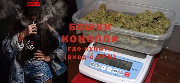 твердый Медногорск
