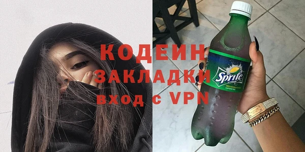 шишки Медвежьегорск