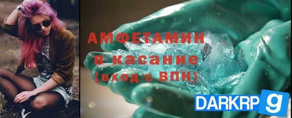 шишки Медвежьегорск