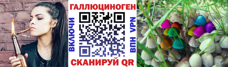 Псилоцибиновые грибы ЛСД  blacksprut как войти  Саранск 