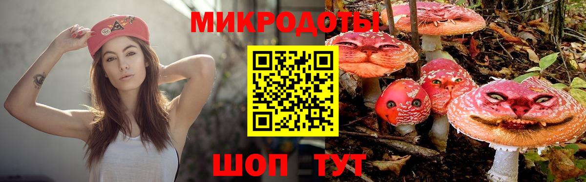 Саранск  Псилоцибиновые грибы прущие грибы  Псилоцибиновые грибы мухоморы  Вход с VPN 